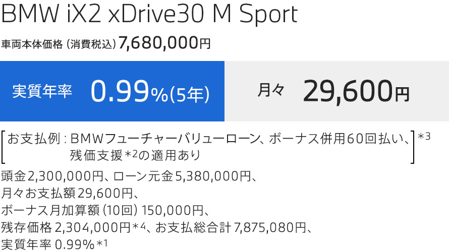 iX2 支払例
